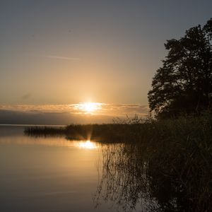 Превью обои озеро, закат, пейзаж, берег, камыш, дерево