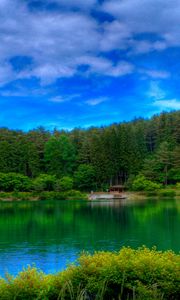 Превью обои озеро, живописное, цвета, зеленый