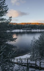 Превью обои озеро, зима, снег, иней, зимний пейзаж