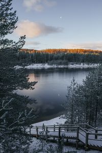 Превью обои озеро, зима, снег, иней, зимний пейзаж