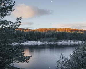 Превью обои озеро, зима, снег, иней, зимний пейзаж