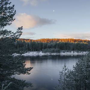 Превью обои озеро, зима, снег, иней, зимний пейзаж