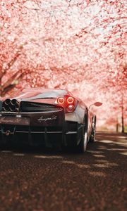 Превью обои pagani huayra, pagani, спорткар, суперкар, сакура, вид сзади