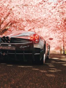 Превью обои pagani huayra, pagani, спорткар, суперкар, сакура, вид сзади