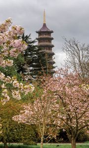 Превью обои пагода, башня, деревья, цветы, сакура, весна