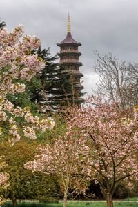 Превью обои пагода, башня, деревья, цветы, сакура, весна