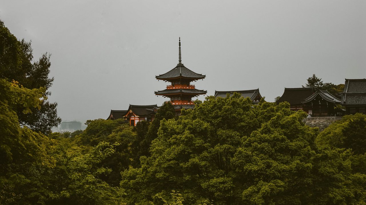 Обои пагода, деревья, архитектура, префектура киото, япони