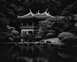 Превью обои пагода, деревья, пруд, природа, япония