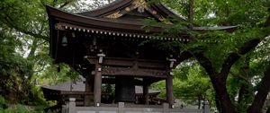 Превью обои пагода, храм, гортензии, цветы, япония