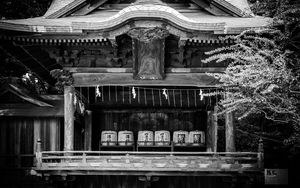 Превью обои пагода, крыша, деревянный, черно-белый, архитектура