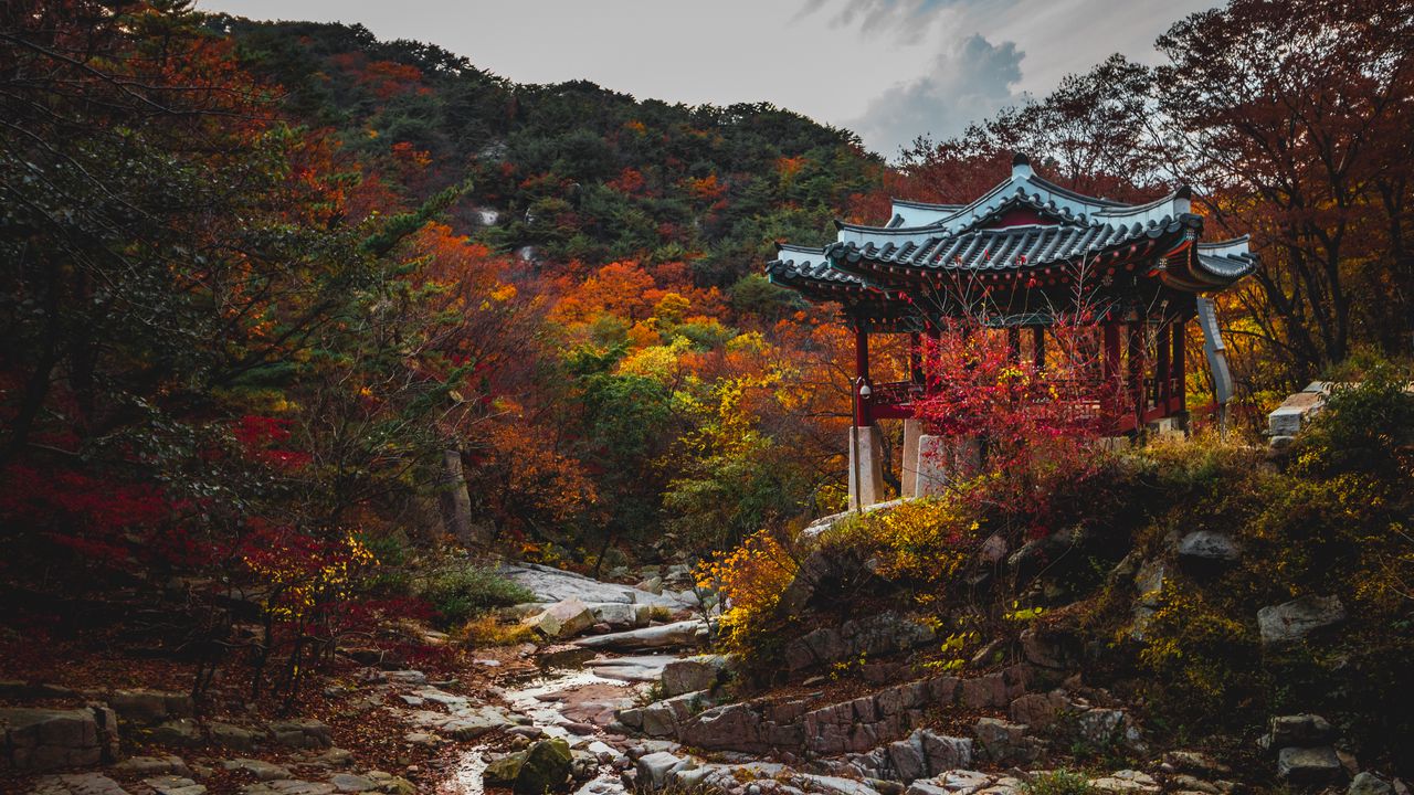 Обои пагода, сад, деревья, осень