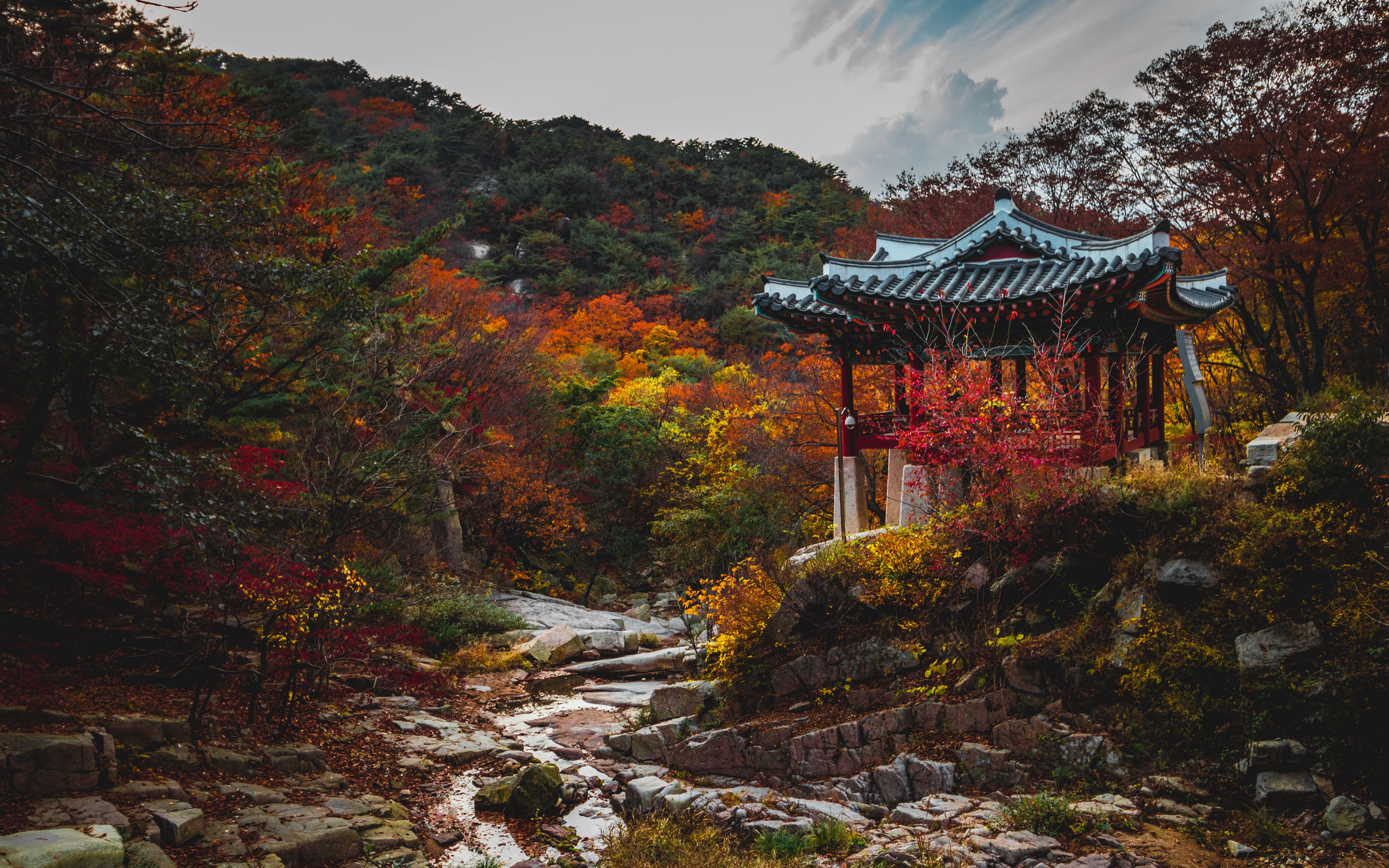 Китай природа осень