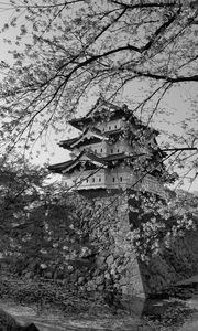 Превью обои пагода, сакура, весна, черно-белый, эстетика