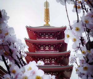 Превью обои пагода, здание, сакура, храм, цветы