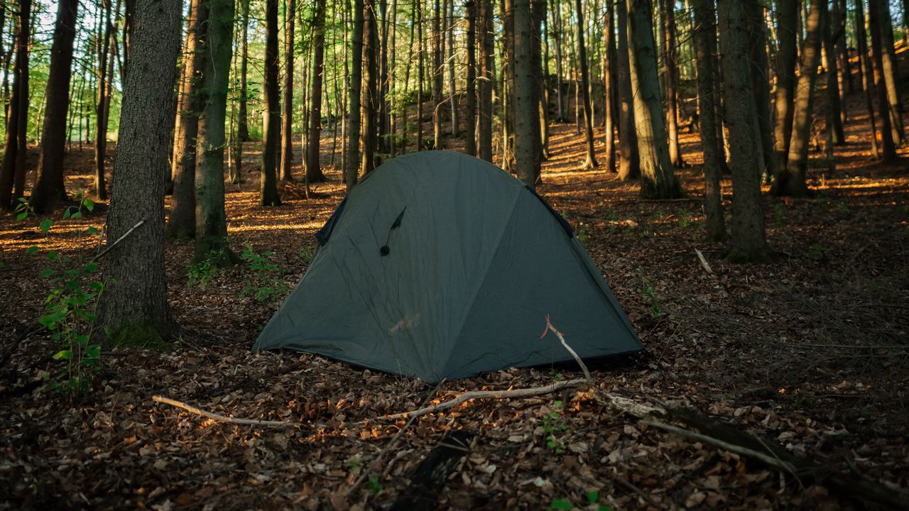 Палатка лес костер фото