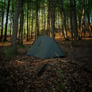 Превью обои палатка, кемпинг, лес, деревья