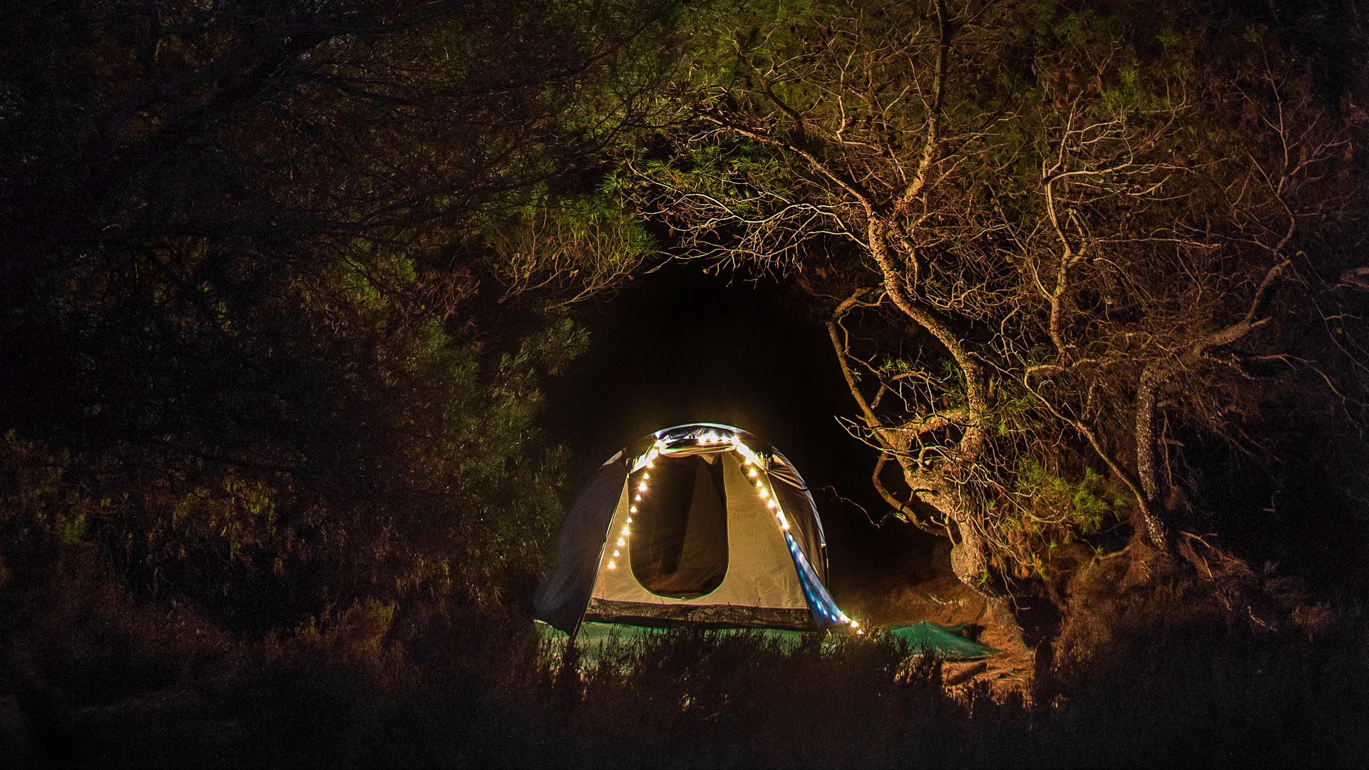 Windows 10 camp. Зеленая палатка виндовс 10. Палатка ночью. Палатка в лесу ночью. Палатка в горах.