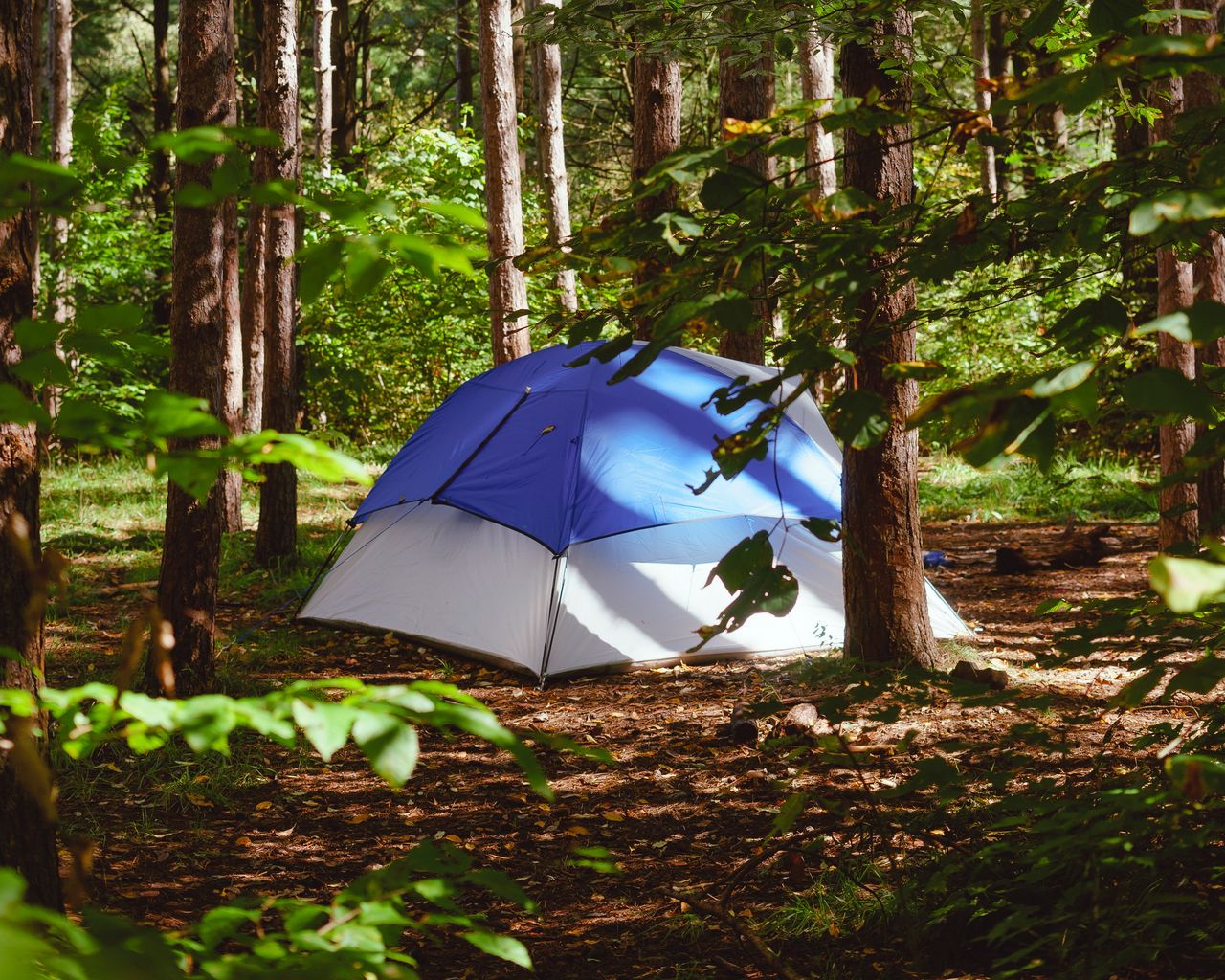 Природный туристический объект. Палатка Зорька. Палатка в лесу. Кемпинг. Палаточный кемпинг.