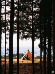 Превью обои палатка, лес, кемпинг, луг