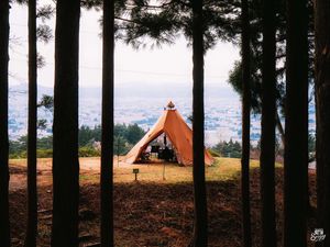 Превью обои палатка, лес, кемпинг, луг