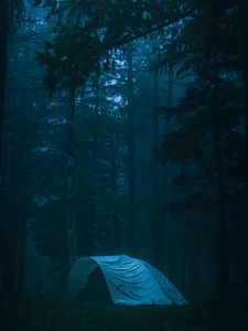 Превью обои палатка, лес, туман, кемпинг, природа