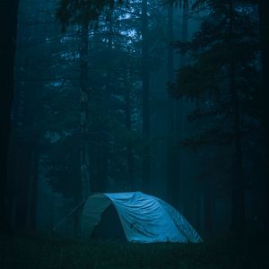 Превью обои палатка, лес, туман, кемпинг, природа