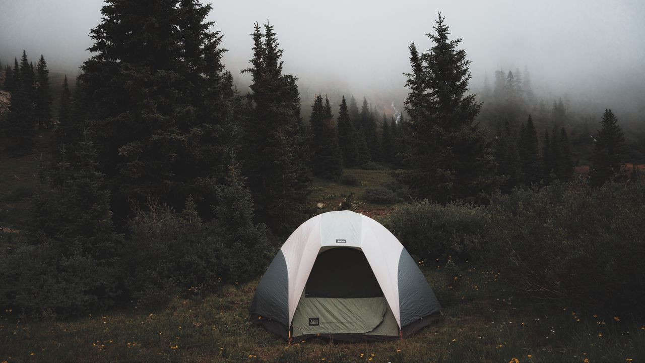 Обои палатка, поход, деревья, туман, природа