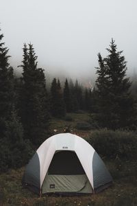 Превью обои палатка, поход, деревья, туман, природа