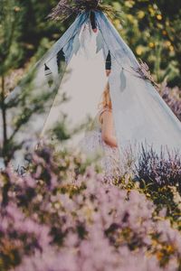 Превью обои палатка, ребенок, цветы, лаванда, природа