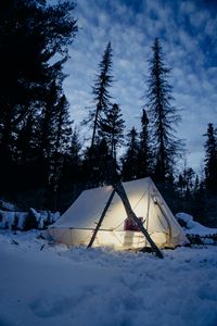 Превью обои палатка, снег, деревья, зима, вечер