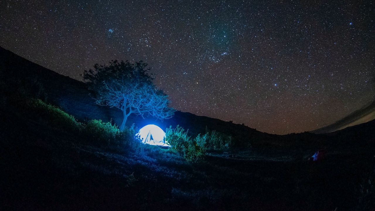 Обои палатка, свет, деревья, звезды, ночь, темный