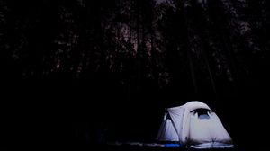 Превью обои палатка, звездное небо, деревья, ночь, кемпинг