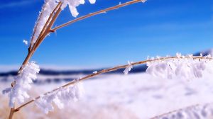 Превью обои палки, трава, ветки, снег, синий, небо