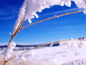 Превью обои палки, трава, ветки, снег, синий, небо