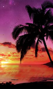 Превью обои пальма, дерево, вечер, небо, планета, звезды, море, закат
