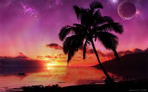 Превью обои пальма, дерево, вечер, небо, планета, звезды, море, закат