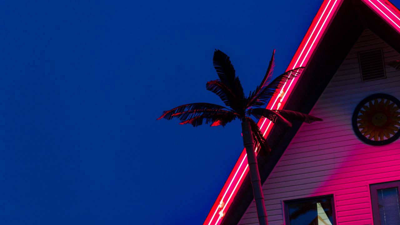 Обои пальма, крыша, неон, подсветка, красный