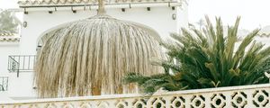 Превью обои пальма, растения, листья, забор, архитектура, белый