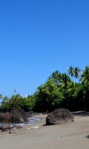 Превью обои пальмы, берег, камни, тени, пляж, песок, небо, ясно, тропики, безмятежность