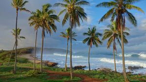 Превью обои пальмы, берег, океан, волны, тропики