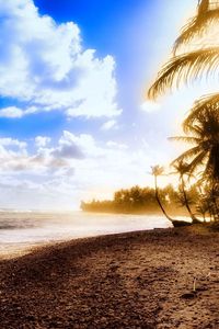 Превью обои пальмы, берег, пляж, солнце, свет, небо, облака, жара