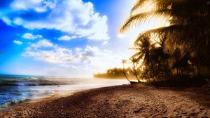 Превью обои пальмы, берег, пляж, солнце, свет, небо, облака, жара