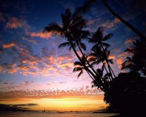 Превью обои пальмы, берег, силуэты, море, небо, вечер, корабли, очертания, гавайи