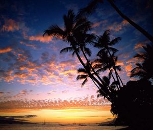Превью обои пальмы, берег, силуэты, море, небо, вечер, корабли, очертания, гавайи
