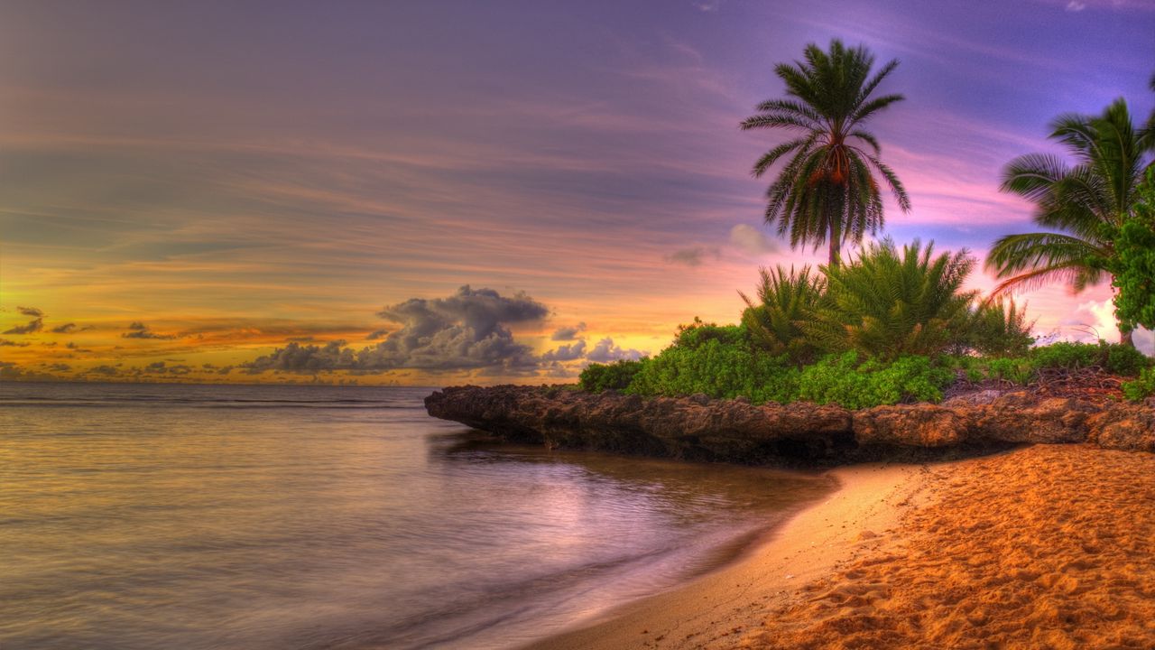 Обои пальмы, берег, тропики, песок, пляж, рыхлый, закат, небо, облака, горизонт