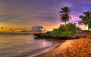 Превью обои пальмы, берег, тропики, песок, пляж, рыхлый, закат, небо, облака, горизонт