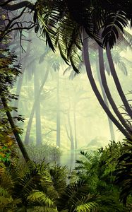 Превью обои пальмы, деревья, джунгли, туман
