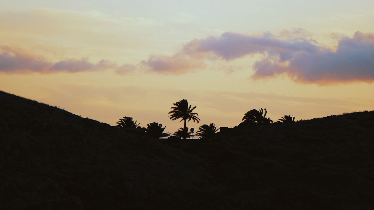 Обои пальмы, горизонт, небо, облака