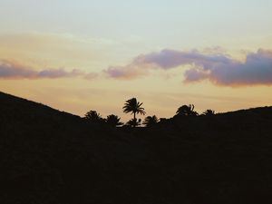 Превью обои пальмы, горизонт, небо, облака