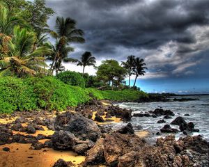 Превью обои пальмы, камни, берег, тучи, небо, пляж, шторм